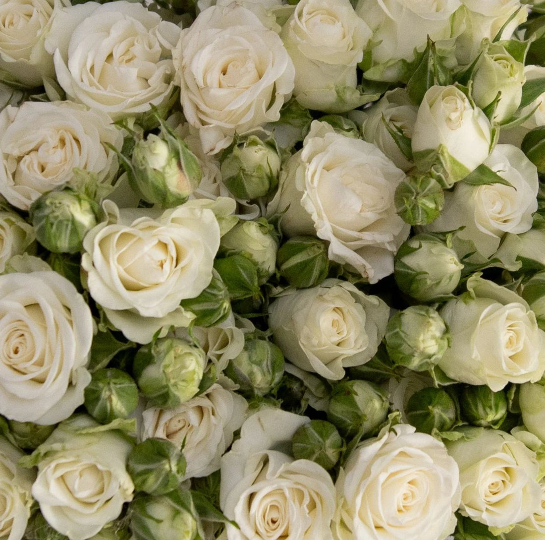 The Art of the Bouquet: Why Fresh Flowers Transform Every Moment