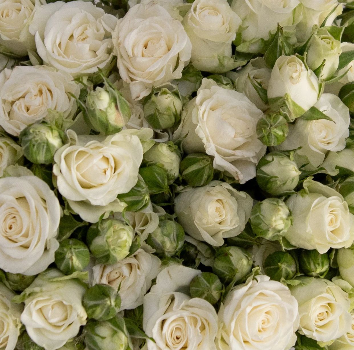 The Art of the Bouquet: Why Fresh Flowers Transform Every Moment