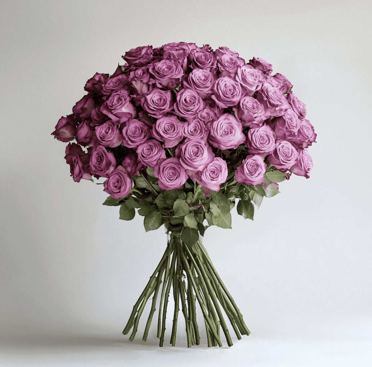 In-House Fresh Rose Bundle – 50 Stems