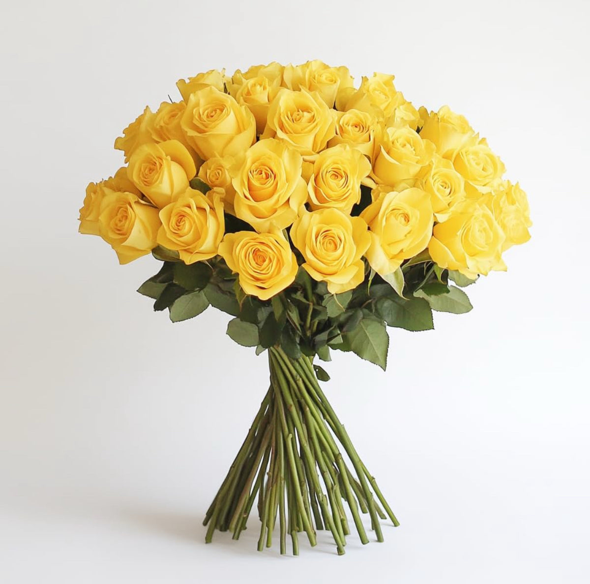 In-House Fresh Rose Bundle – 50 Stems
