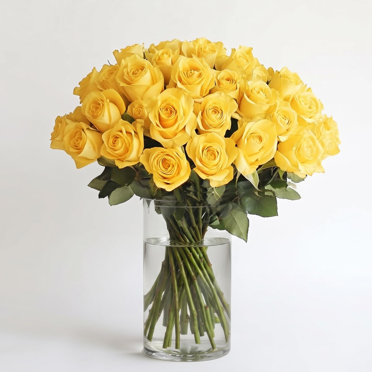 In-House Fresh Rose Bundle – 50 Stems