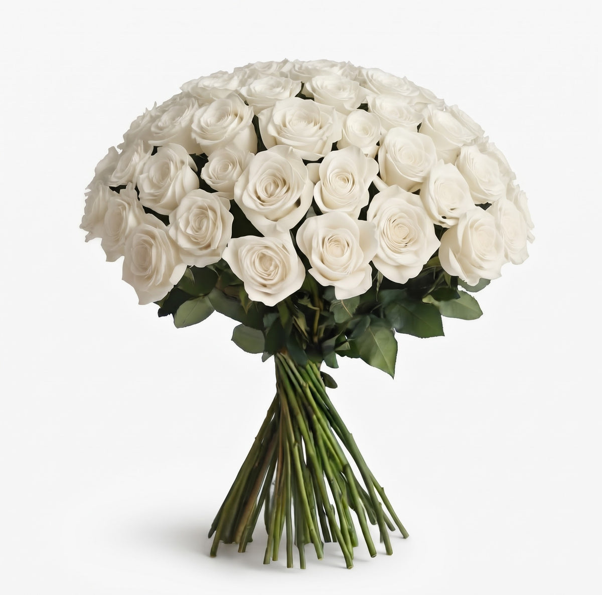 In-House Fresh Rose Bundle – 50 Stems