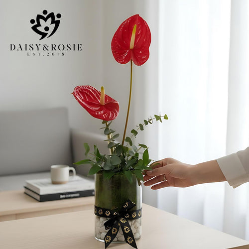 Anthurium Modern Glass Vase