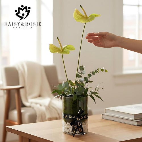Anthurium green Modern Glass Vase