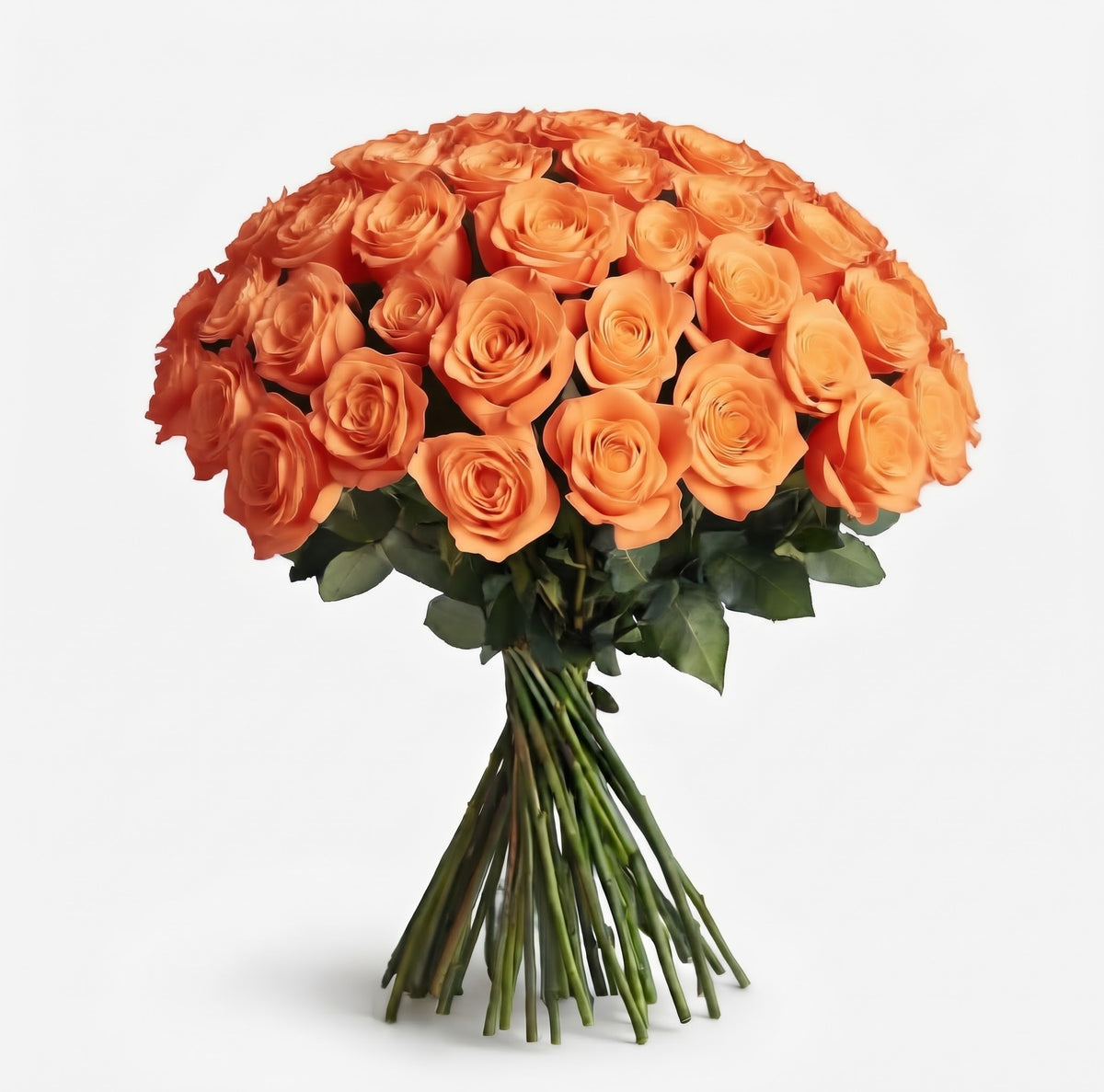In-House Fresh Rose Bundle – 50 Stems