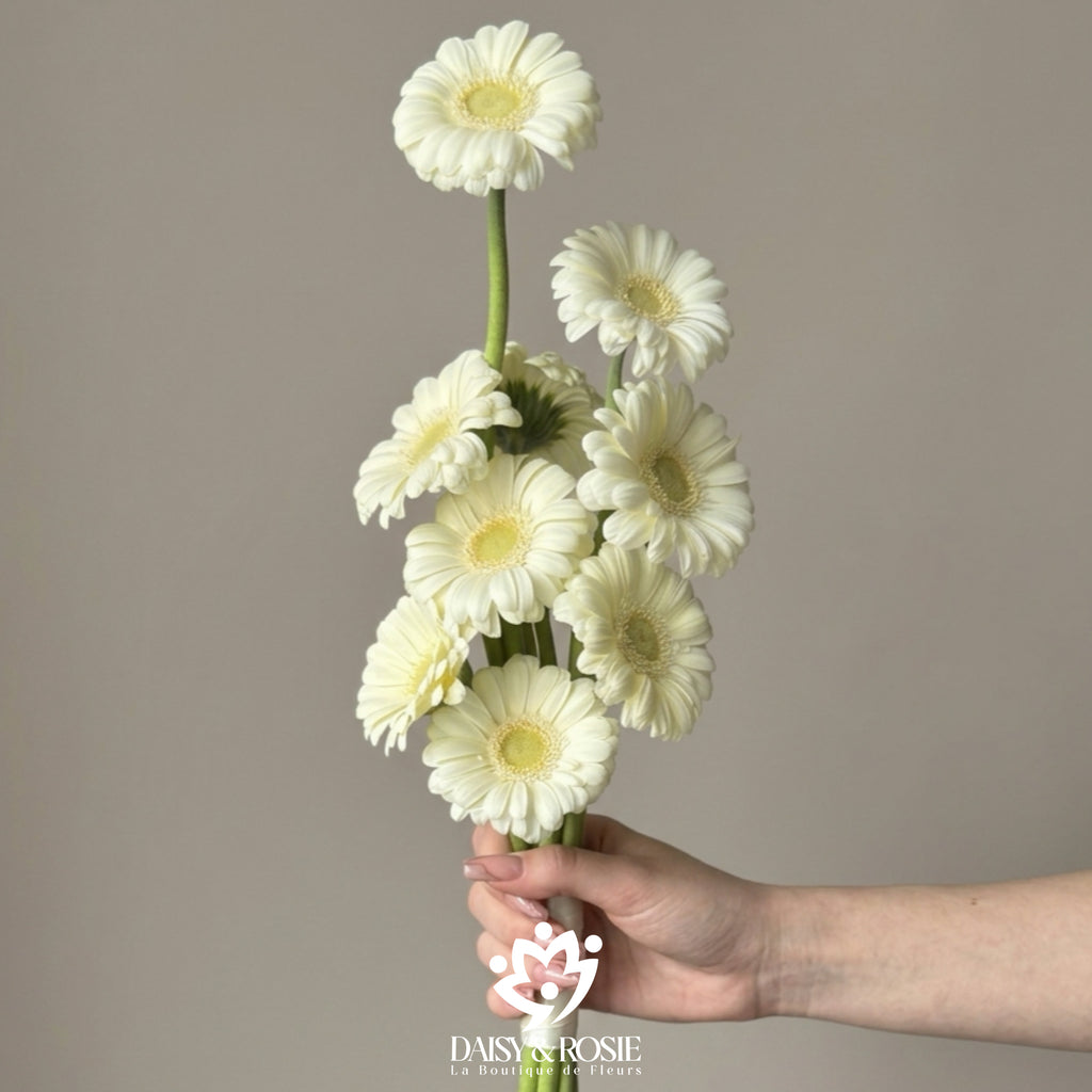 Luminous White Gerbera Daisy Bridal- Bouquet