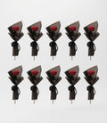 Elegance 10 Piece Single Rose package in Black Wrapping