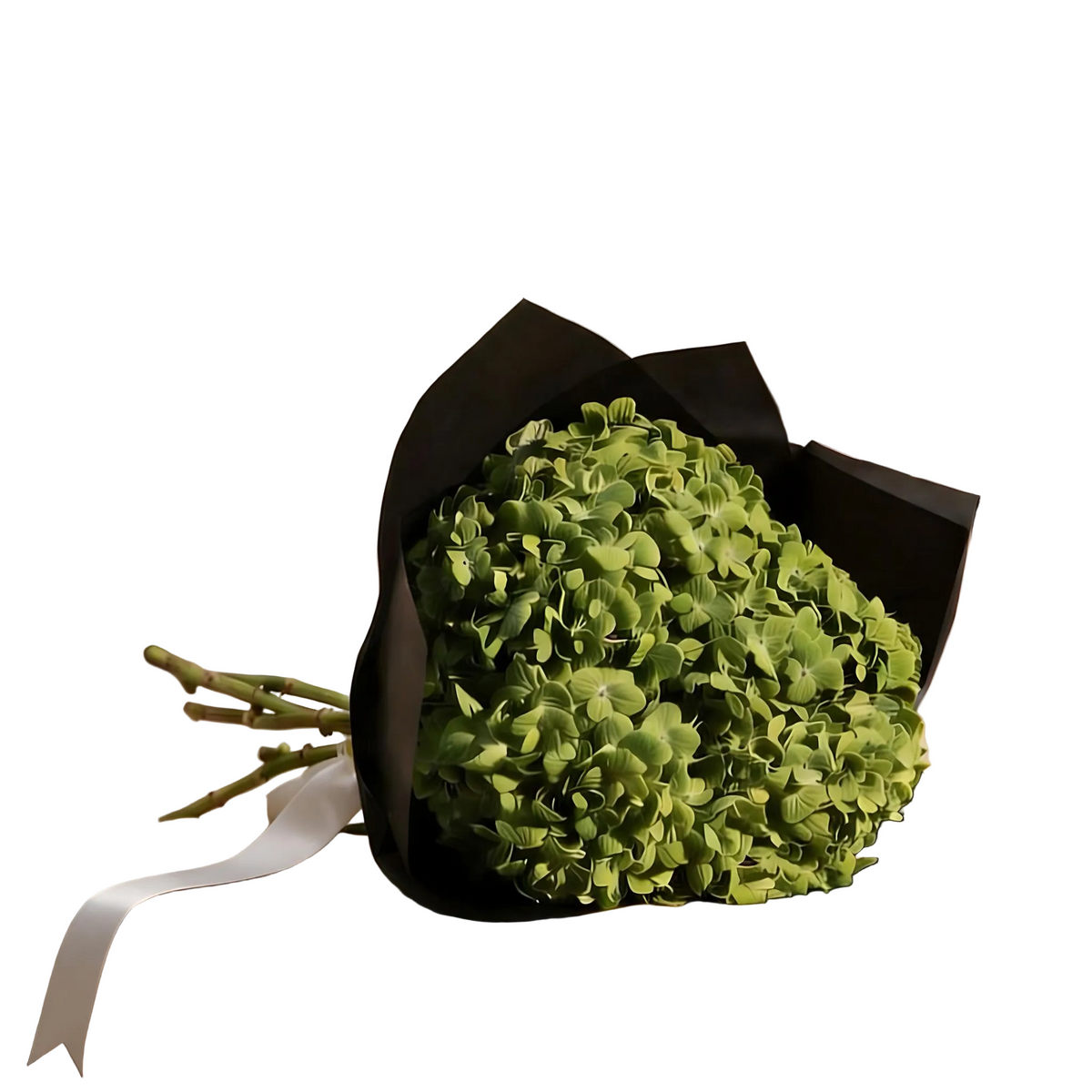 Green Hydrangeas