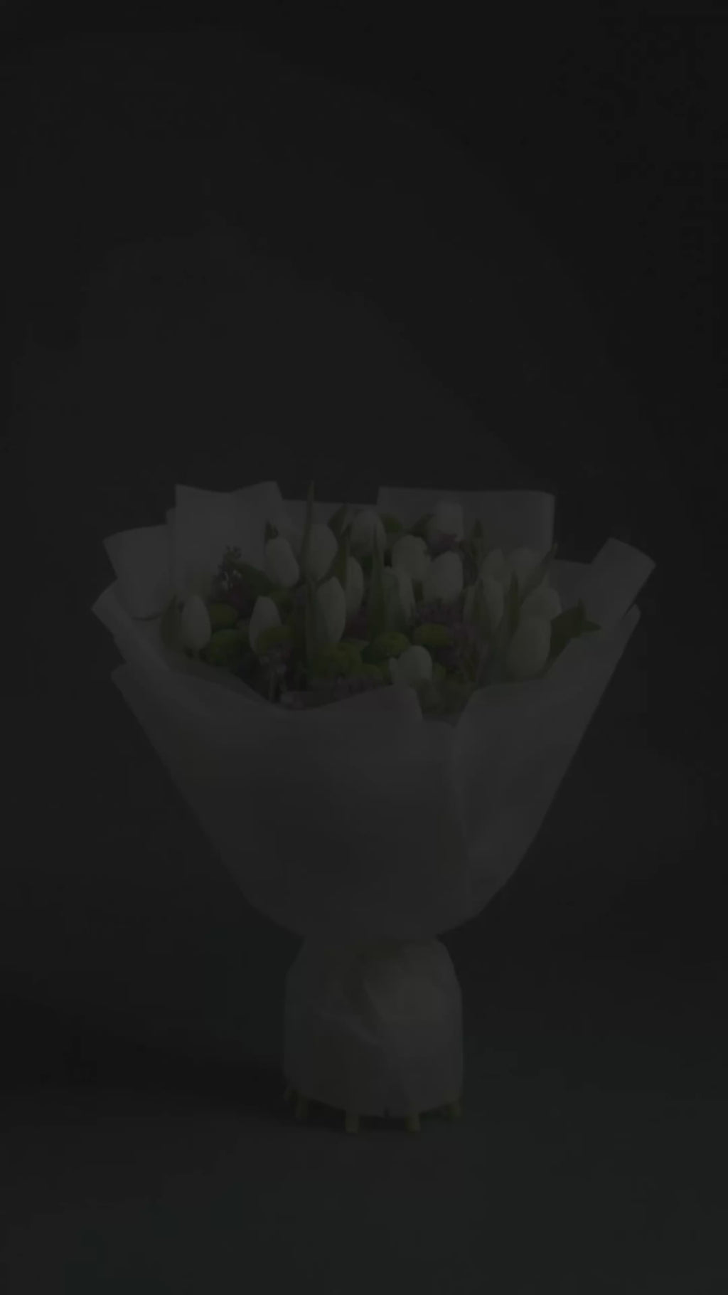 Ethereal White Tulip & Green Bloom