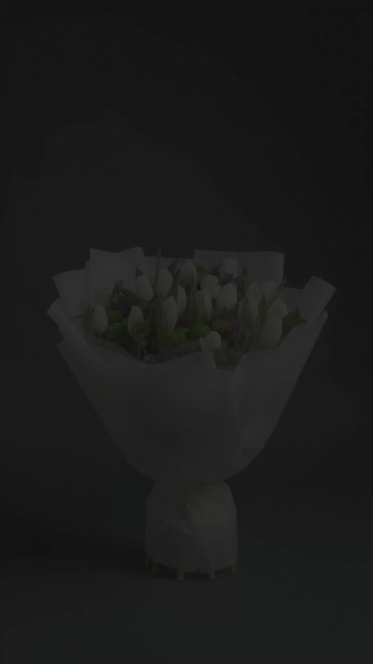 Ethereal White Tulip & Green Bloom